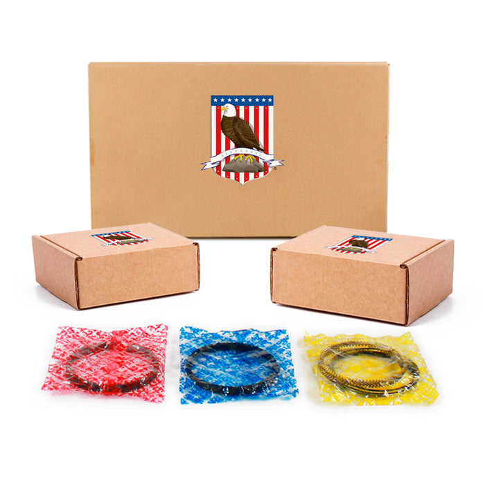 Engine Re-Ring Kit