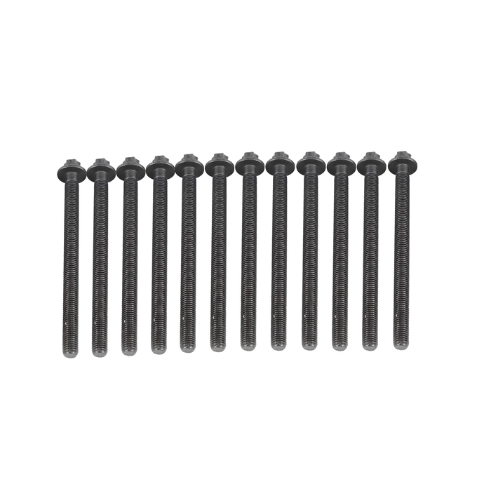 Head Gasket Set w/ Head Bolts