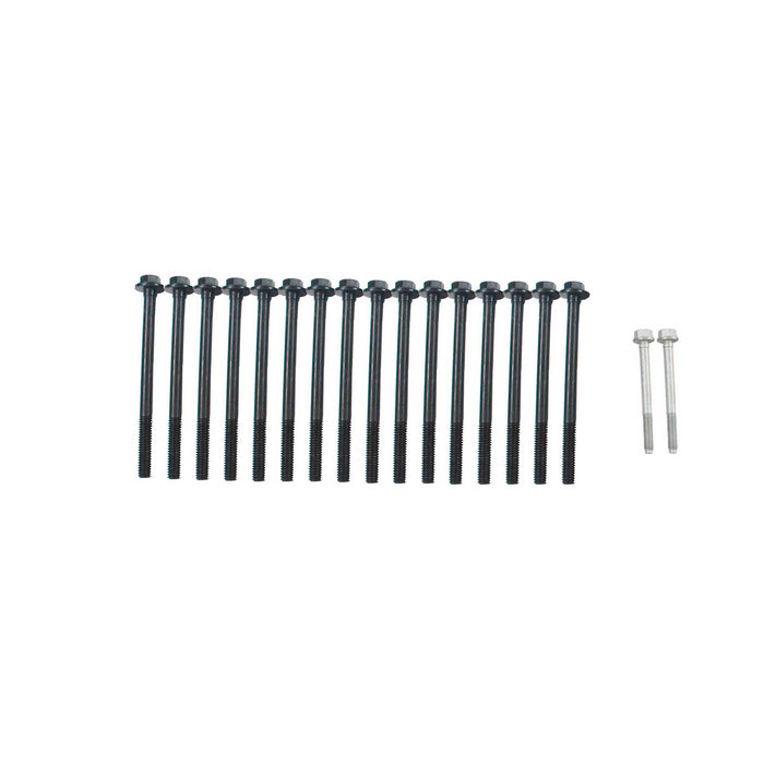 Head Gasket Set w/ Head Bolts