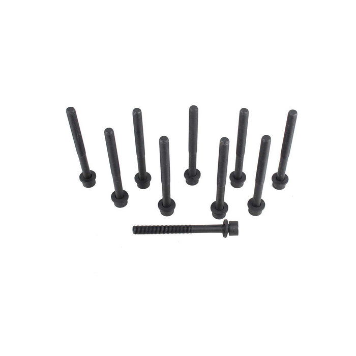 Head Gasket Set w/ Head Bolts
