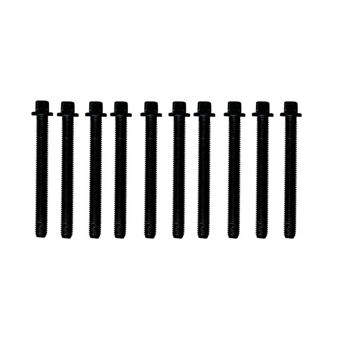 Head Gasket Set w/ Head Bolts