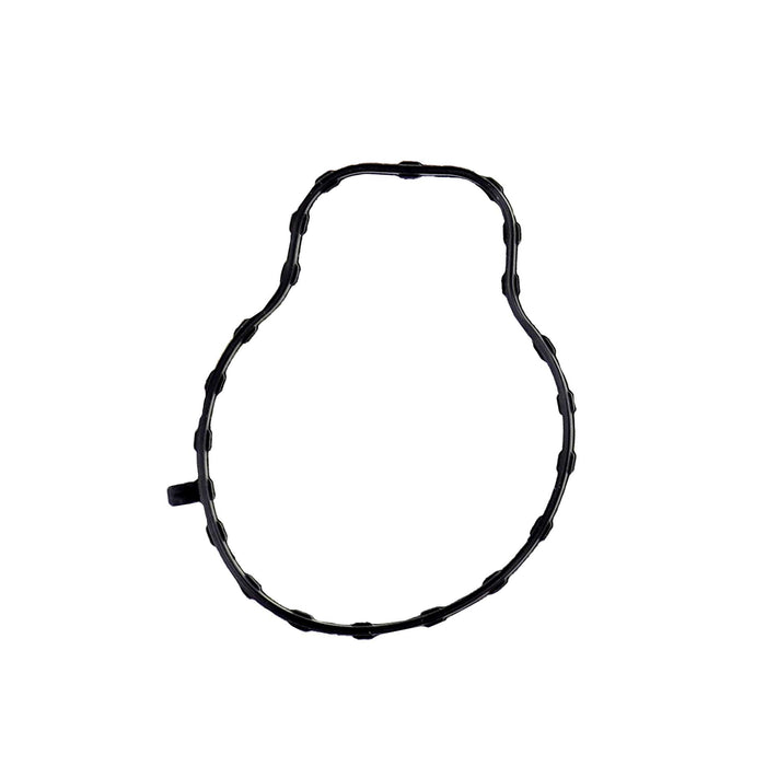 Intake Manifold Gasket Set