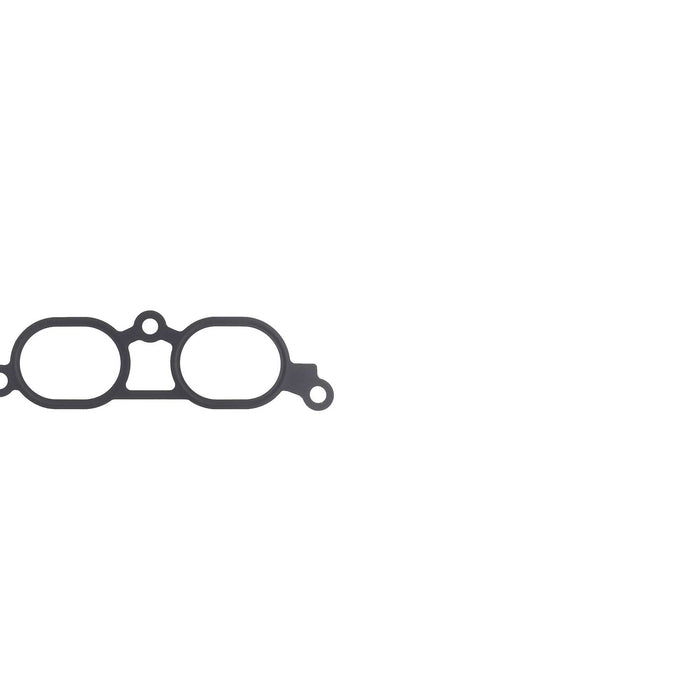 Fuel Injection Plenum Gasket