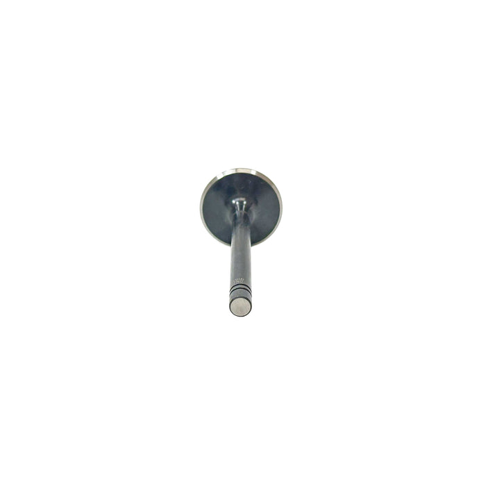 Intake Valve