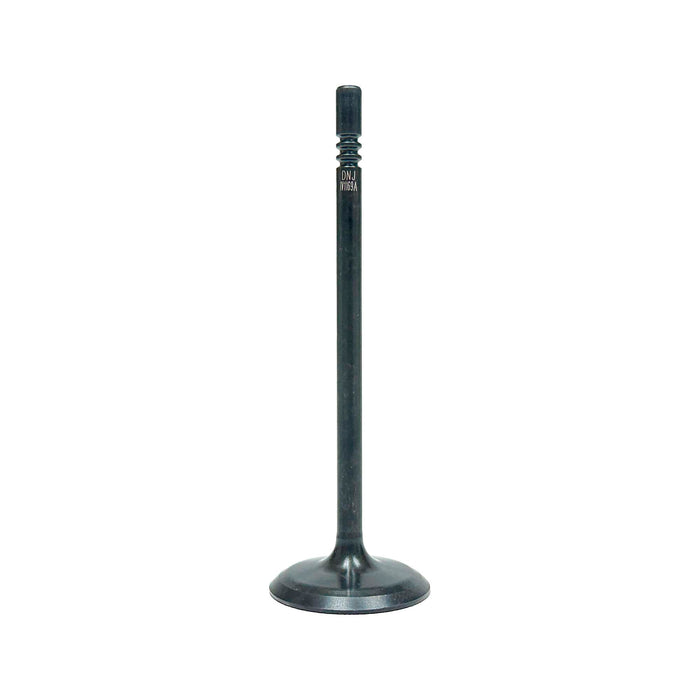 Intake Valve