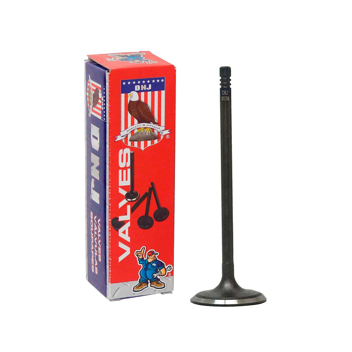 Intake Valve