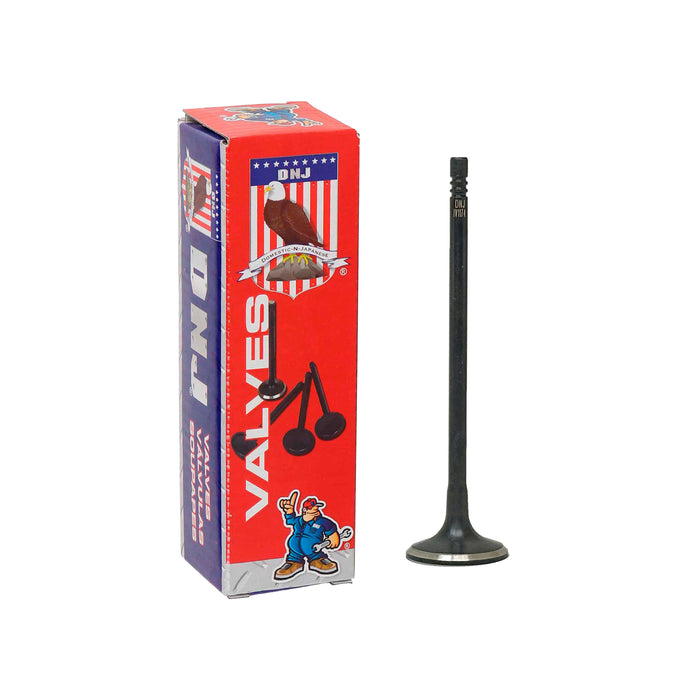 Intake Valve