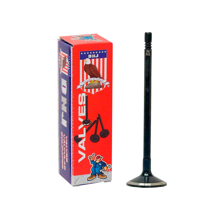 Intake Valve