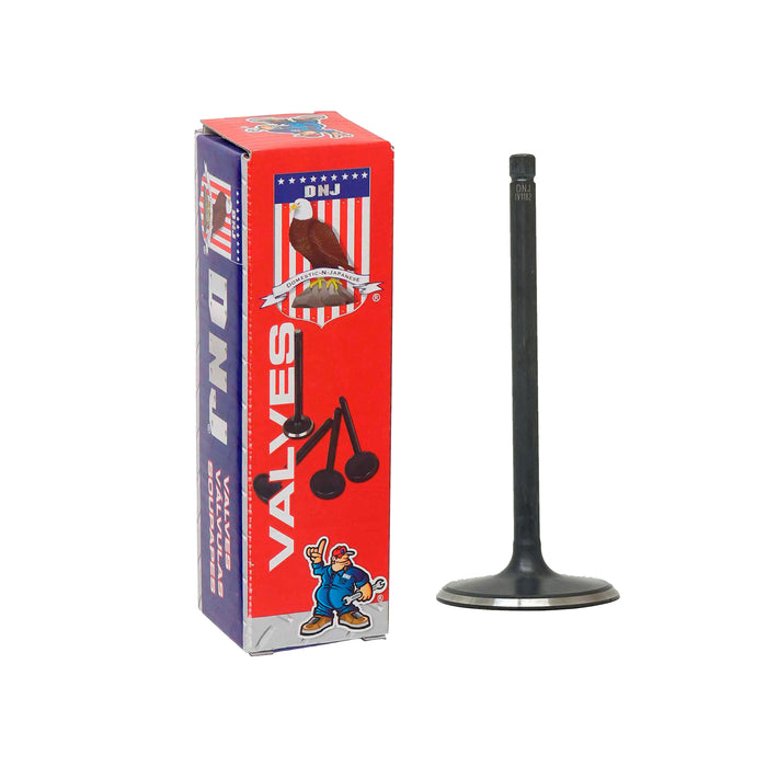 Intake Valve
