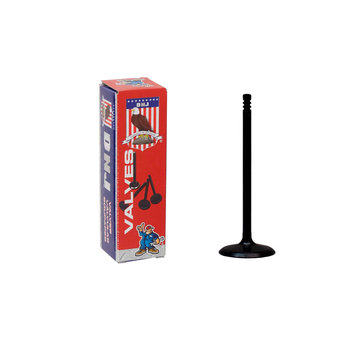 Intake Valve
