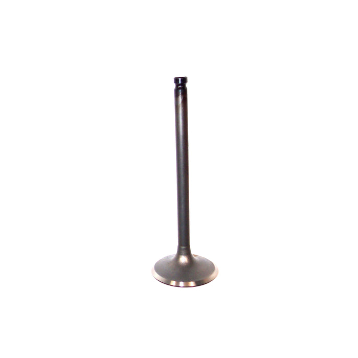 Exhaust / Intake Valve Kit