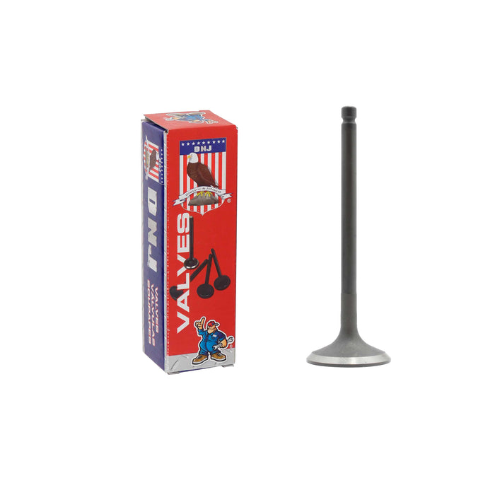 Intake Valve