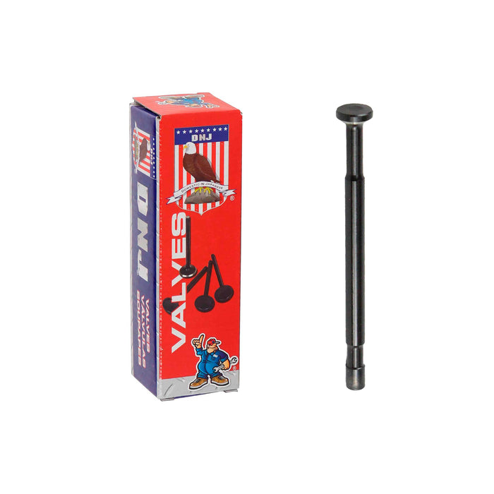 Intake Valve