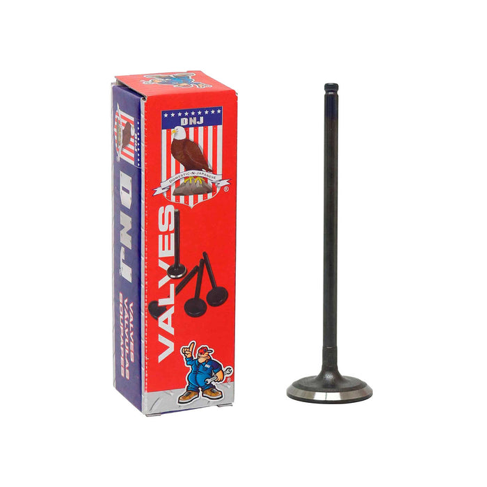 Intake Valve