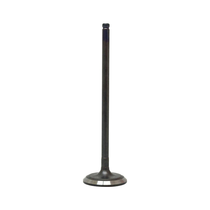 Intake Valve