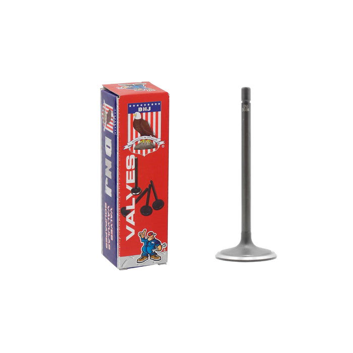 Intake Valve