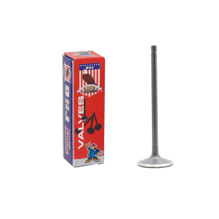 Intake Valve