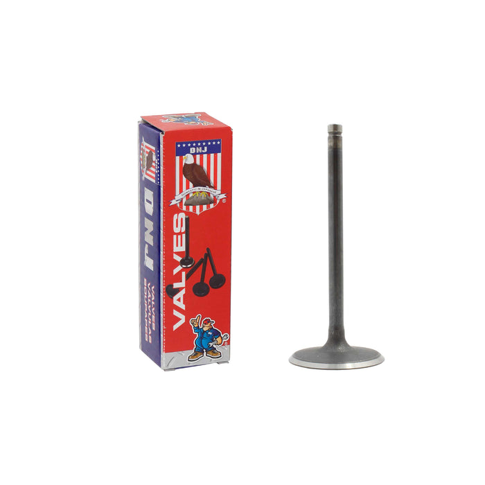 Intake Valve
