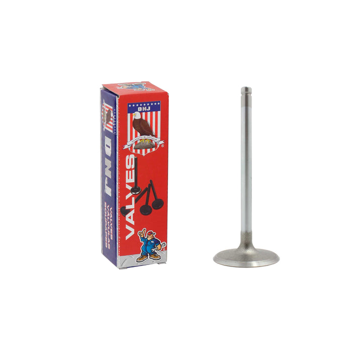 Intake Valve