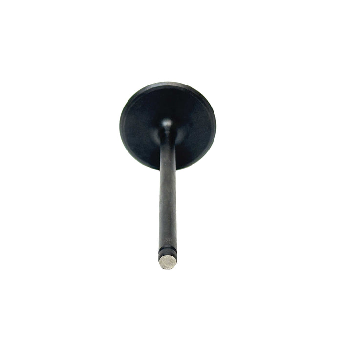 Intake Valve