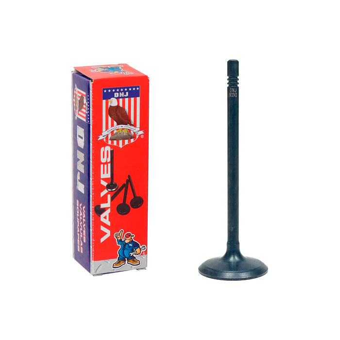 Intake Valve