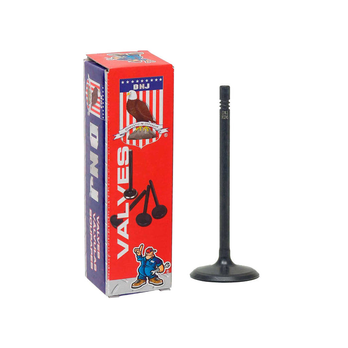 Intake Valve