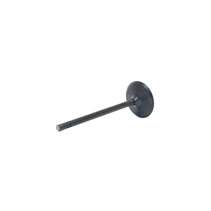 Intake Valve