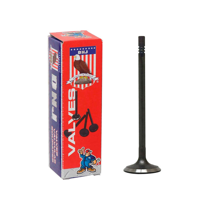 Intake Valve