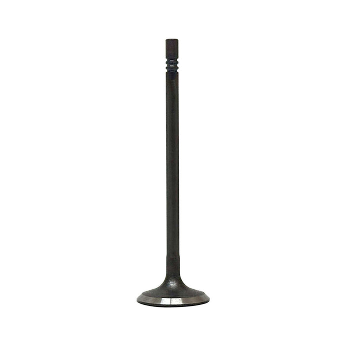 Intake Valve