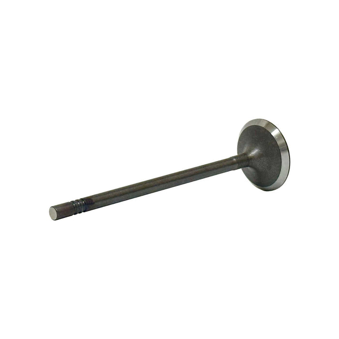 Intake Valve
