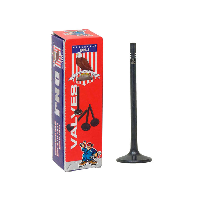 Intake Valve