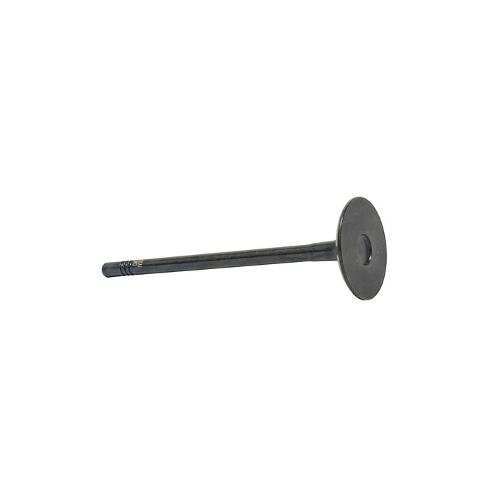 Intake Valve