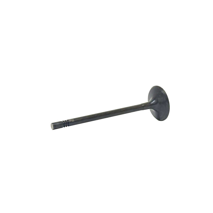 Intake Valve