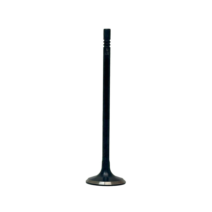 Intake Valve