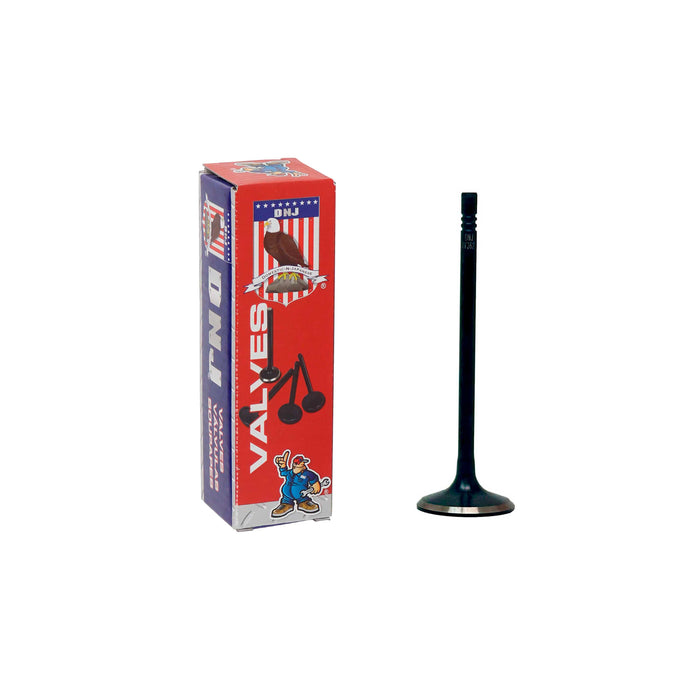 Intake Valve