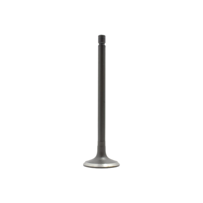 Intake Valve