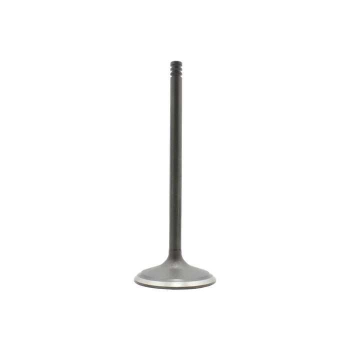 Exhaust / Intake Valve Kit