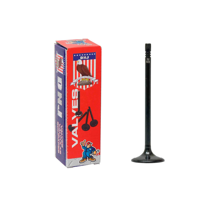 Intake Valve