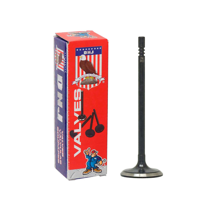 Intake Valve