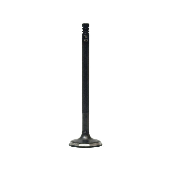 Intake Valve