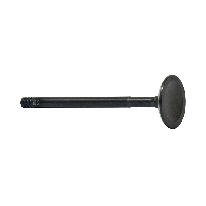 Intake Valve