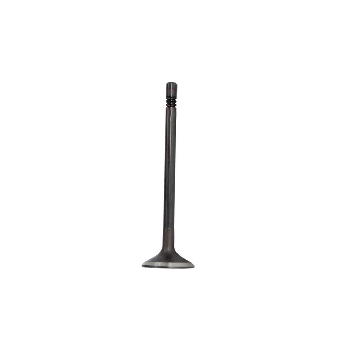 Exhaust / Intake Valve Kit