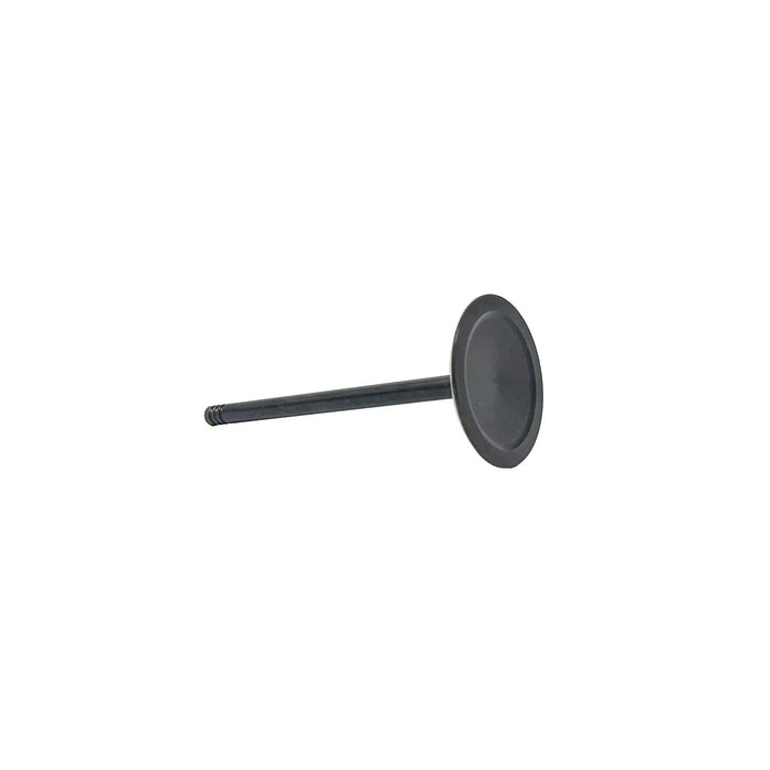 Intake Valve