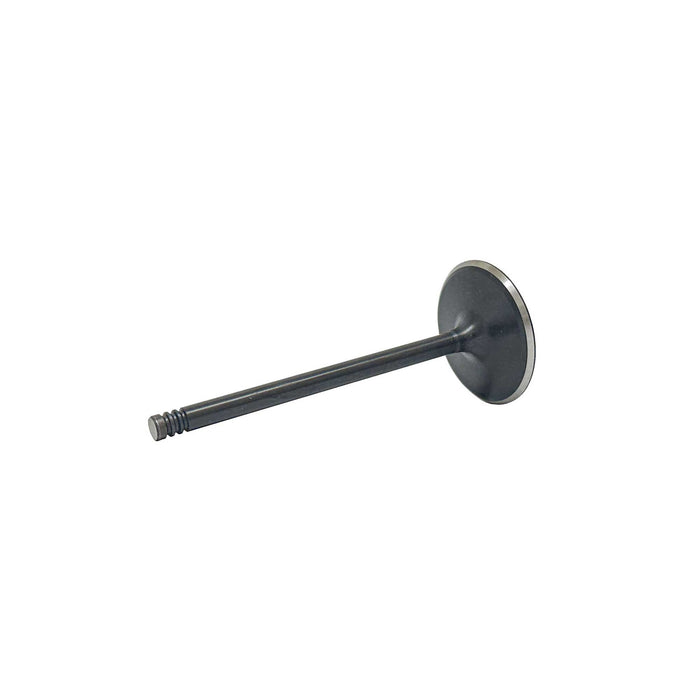 Intake Valve