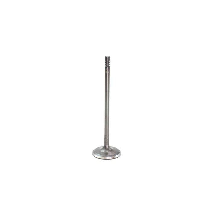Exhaust / Intake Valve Kit