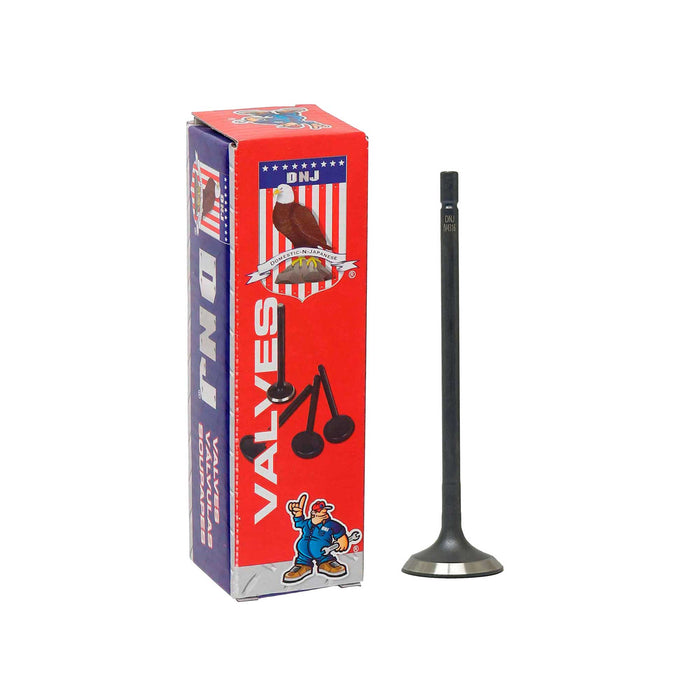 Intake Valve