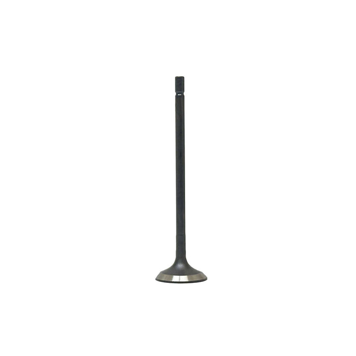 Intake Valve