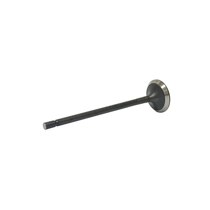 Intake Valve