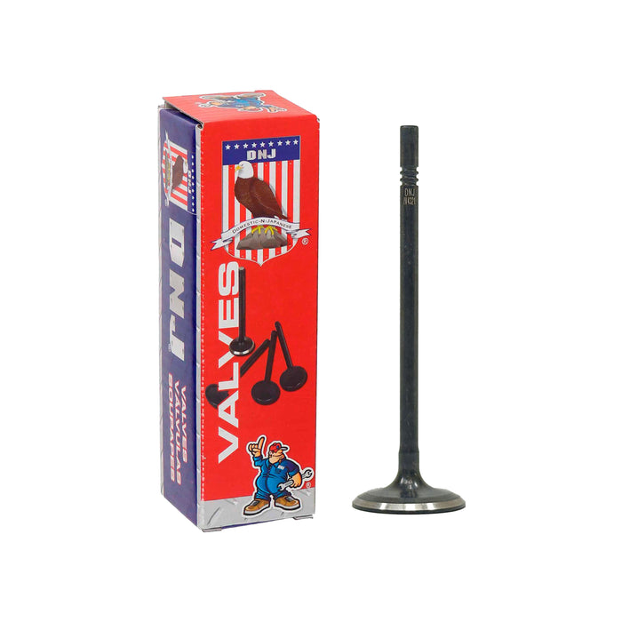 Intake Valve