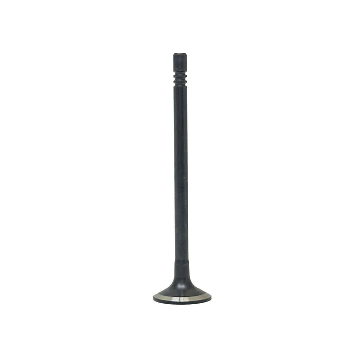 Exhaust / Intake Valve Kit